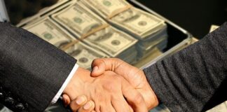 El Estado patrimonio de las mafias