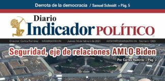Diario Indicador Político Nº 28