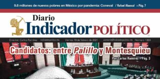 Diario Indicador Político Nº 29