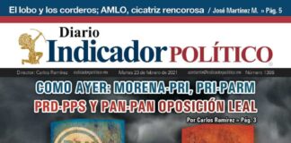 Diario Indicador Político N° 31