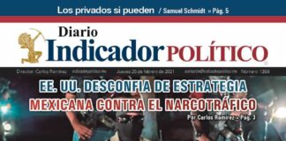 Diario Indicador Político N° 33