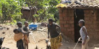 La vacuna del recuerdo