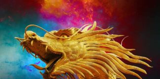 La sombra del dragón