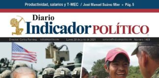 Diario Indicador Político Nº 114