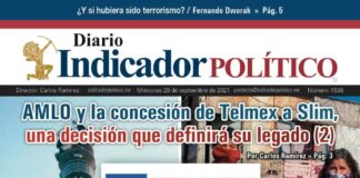 Diario Indicador Político N° 181