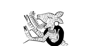 El dónde estoy va desapareciendo, ensayo visual de Mariana Castillo Deball, se presenta en Sala 10, la sala virtual del MUAC