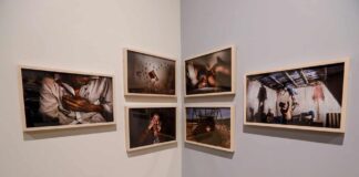 San Ildefonso exhibe la relación artística de Francisco Toledo y la Fotografía en la exposición Lu’Biaani