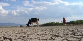 El mundo enfrenta nueva crisis… la del agua, con riesgo de desastre o escasez grave