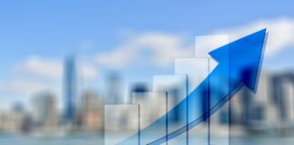 De la economía a la política