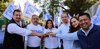 PAN: entre amparos y derrotismo