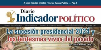 Diario Indicador Político N° 207