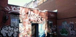 Anatomía de un párrafo