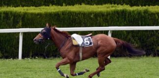 ¿Por dónde va la derecha?