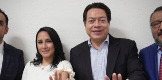 Las encuestas son el mejor método: Delgado