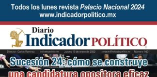 Diario Indicador Político N° 246