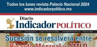 Diario Indicador Político Nº 248