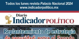 Diario Indicador Político N° 273