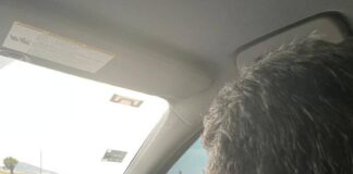 2024: AMLO-Monreal y las sombras de Cárdenas, Camacho, Madrazo y Ebrard