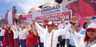 La disyuntiva de los partidos
