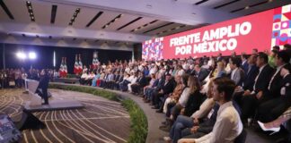 Frente Amplio PRI-PAN, con el aval de organizaciones civiles