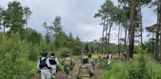 Chiapas: no, no eran para eso la gobernanza criminal ni los abrazos