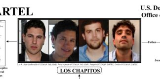 1.- 70 años en 30 días: liquidar cárteles aliados al Estado