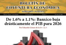 Boletín de Coyontura Economica No. 1